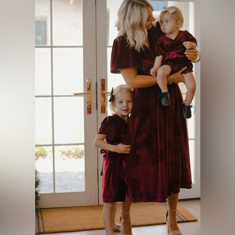 NWT/NWOT Ivy City Co Aria Dress in wine